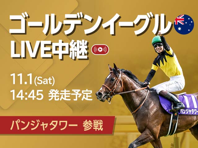 ̵LIVEۥǥ󥤡LIVE ʿ꤬ѥ󥸥㥿˵