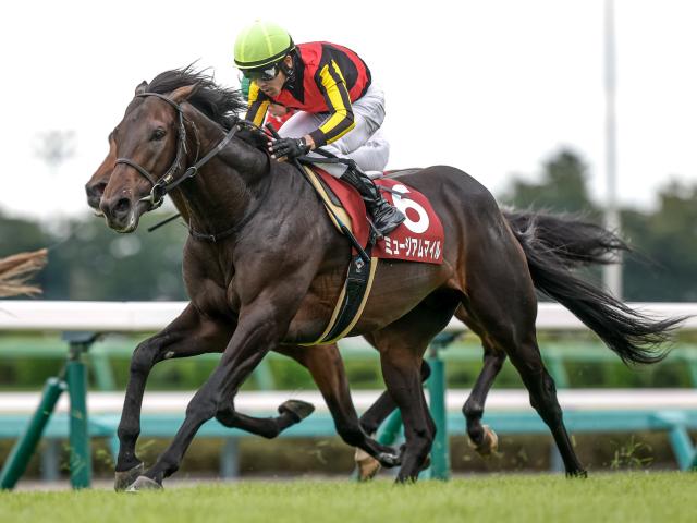 ŷľ()ͽۡηиϰ̣ʤ!? GIϤ˲椬װȤ