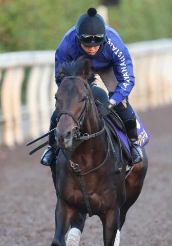 ŷľޡ۹®åפڤ̣ߥ塼ޥӡ⿴