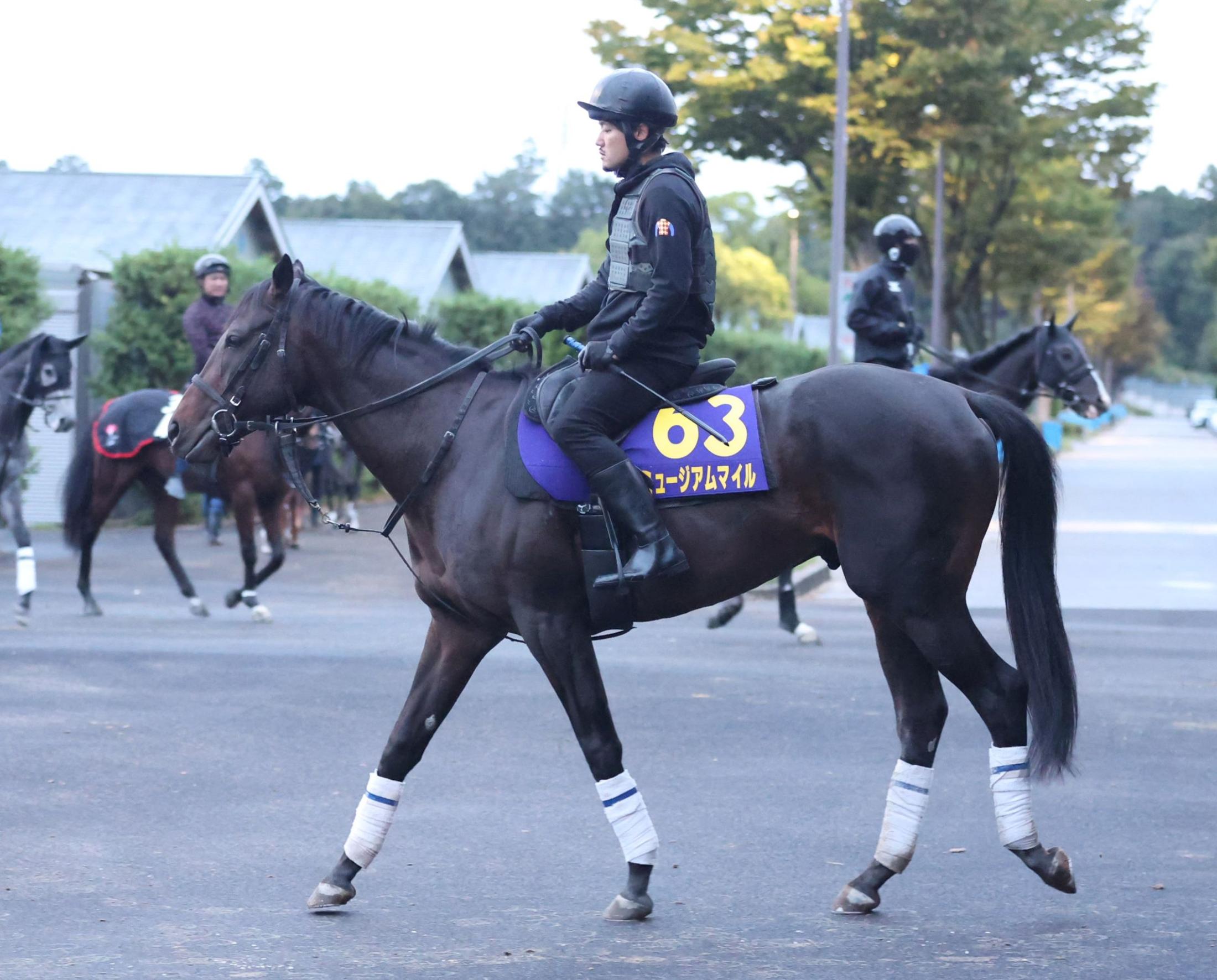 ŷľޡۥߥ塼ޥ롡äѤرĤϾ˾Ŭϡ֤äƤߤʤȡ