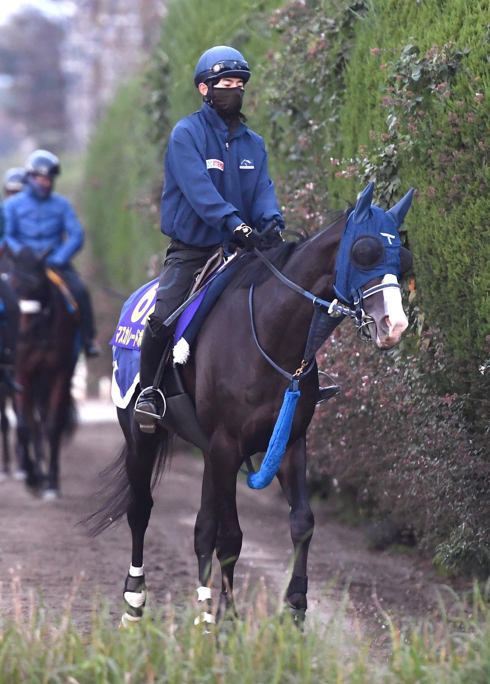 ŷľޡۥ륪ꥨ󥹡ޥ졼ɥܡ롡ʤ͵׻աξȤ˹ԤϤǤϤʤΤǡס֤ɹ