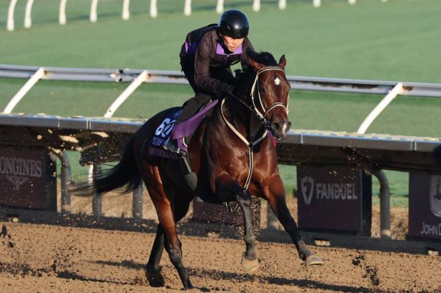 【BCターフスプリント】ピューロマジックが補欠1番手から繰り上がり出走可能に　マーフィー騎手とのコンビで参戦