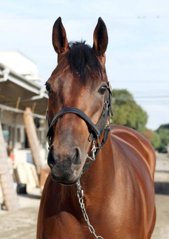 ŷľޡۥ֥쥤ǥϥ졼˸ƾ徺ӡĴաֺưɤä顢ڤߤˤʤä