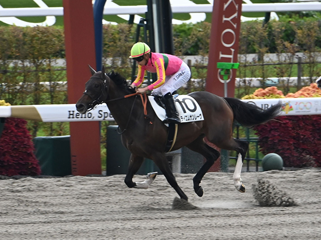 ڵ6R̡ۥ󥹥졼ƥॵ졼ͤȴ