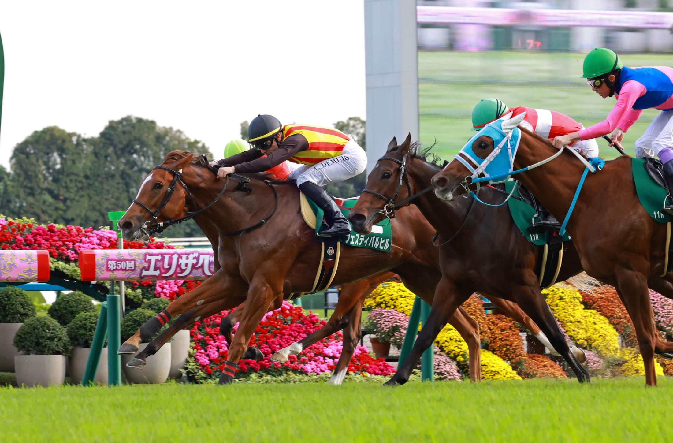 ڥե󥿥ӡֿۣ͵եƥХҥ뤬ľ쵤ǽž޽ơáǥࡼľǿͤƤӡסˤϷߥ塼ޥŷľޡĩ