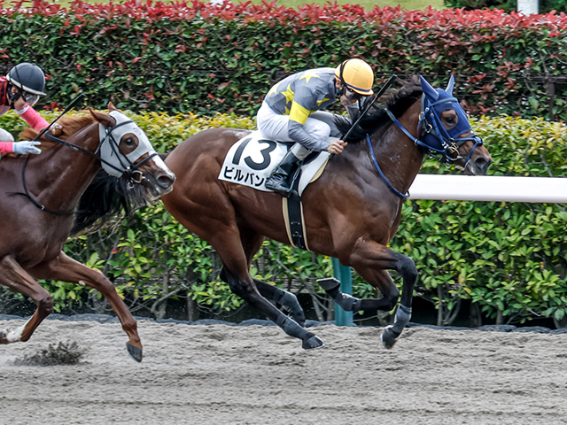 ڥᥤǥӥ塼4R졼女ȡۥӥХƲ