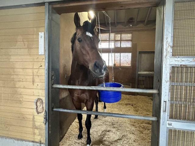 1޶5ߤιۥ졼֥ǥ󥤡פ˽ѥ󥸥㥿5