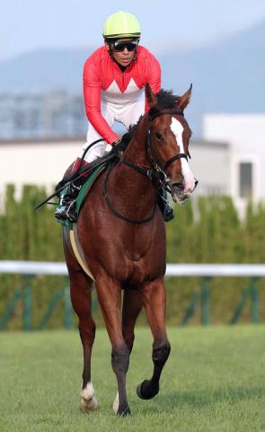 ڥե󥿥Sۺ֥ͤåꥹϿڤ줺4塡ӵϡŴƤޤפ