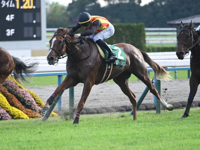 ڥե󥿥S̡ۥեƥХҥ뤬ڤž޽V ϻϥߥ塼ޥ