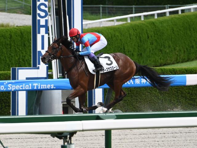 【JBC2歳優駿予想】戴冠するのは地元勢か、JRA勢か 未来のスターホースがここから生まれる