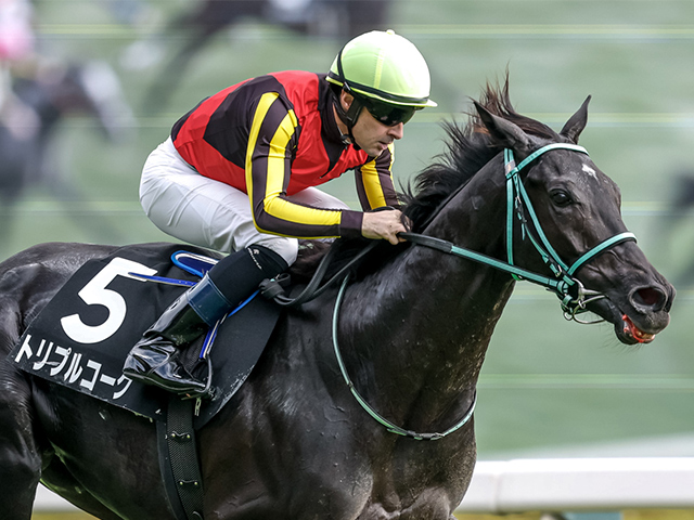 ̥졼女ȡۥȥץ륳 C.᡼뵳