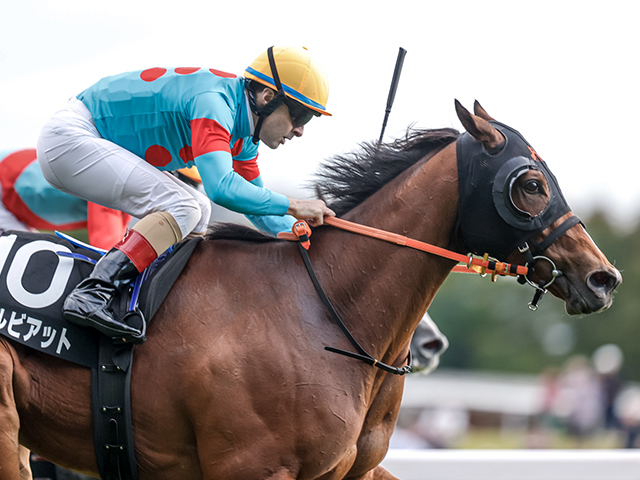 ڹS졼女ȡۥӥå C.᡼뵳