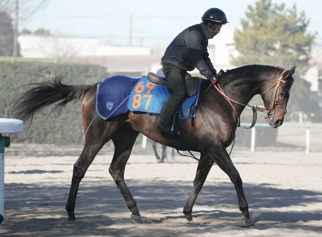 11Rڥ륻SۥȽĩΥѡॹΥ쥳ɾ