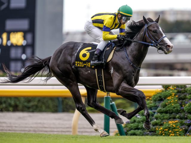 ںܥݥȡ3ФȸϤΰ餬ͤŷľ()