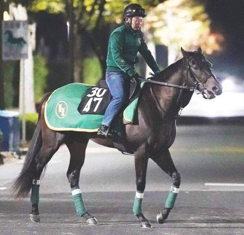 【2日の京都3R・2歳新馬ベスト3】アームズレジェンドは堂々の3部門トップ