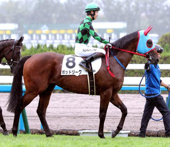 2εԶϡϡ1RݥåɥϥؤǿرĴԡѤȤȻפ