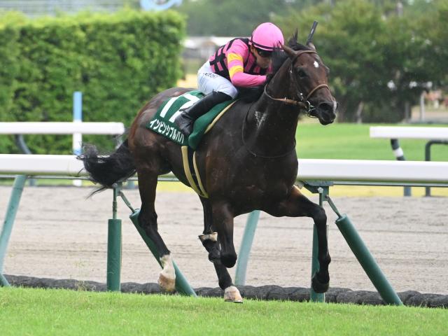 【米・BCターフスプリント結果】日本勢は着外 3歳牝馬シソスパイシーが完勝
