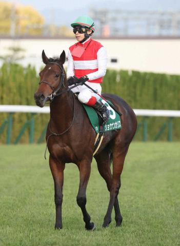 【ファンタジーS】伏兵ショウナンカリス2着　大きな賞金加算　池添「体重が増えて成長」