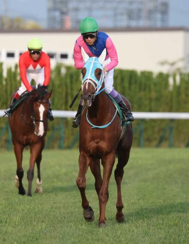 【ファンタジーS】メイショウハッケイ3着　追い上げ届かず…武豊「惜しかったけどね」