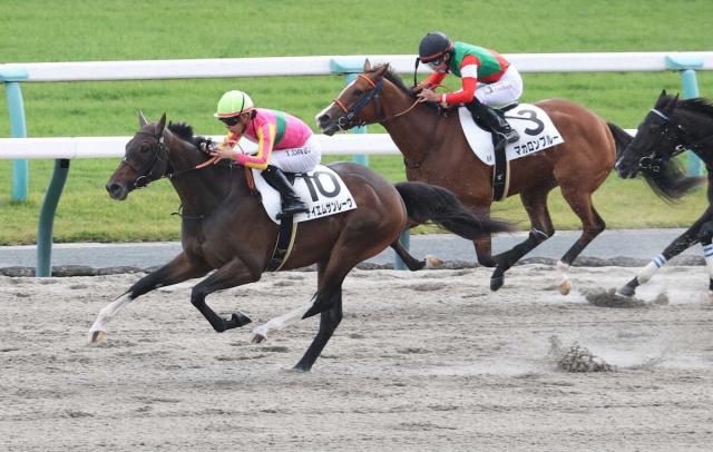 【京都新馬戦】テイエムサンレーヴ　一気差し切り初陣V　河嶋師「まだ上積みがある」