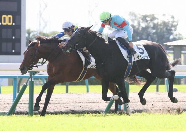 【京都新馬戦】シャドウマスター初陣V　1番人気鼻差捉えた!　杉山晴師「距離が延びても」