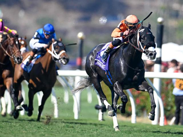 【米・BCターフスプリント結果】日本勢は着外 3歳牝馬シソスパイシーが完勝