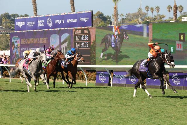 【BCターフスプリント】米国のシソスパイシーが勝利　日本馬のインビンシブルパパは6着、ピューロマジックは10着に敗れる