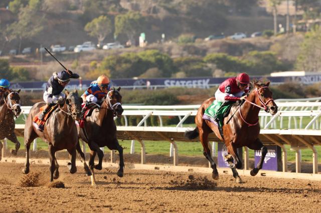 ֤ۤȤ˥饹ܥˡBC饷åϤŪˤޤΡֳޡפȥ