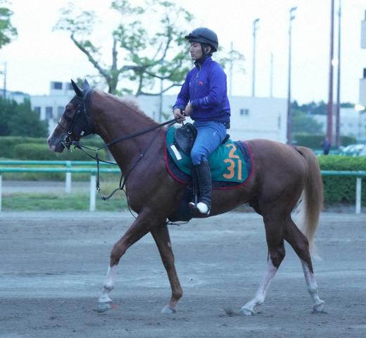 󥢥쥰ꥢνҥޥȥ3塡᡼ɤʤäƤɤʤꤽ