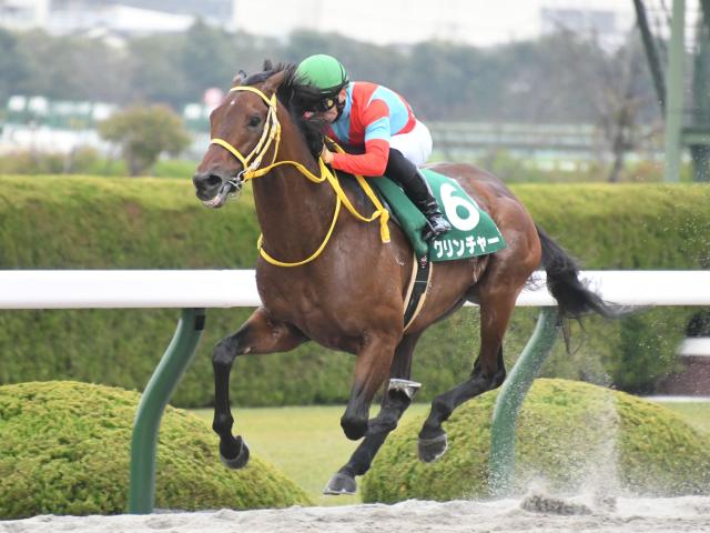 凱旋門賞にも挑戦したクリンチャー ダート重賞初制覇を果たした20年みやこSを回想