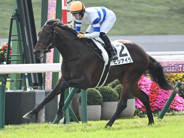 ڵ5R̡ۥ⡼ꥹҥ餬͵˱Ʋ