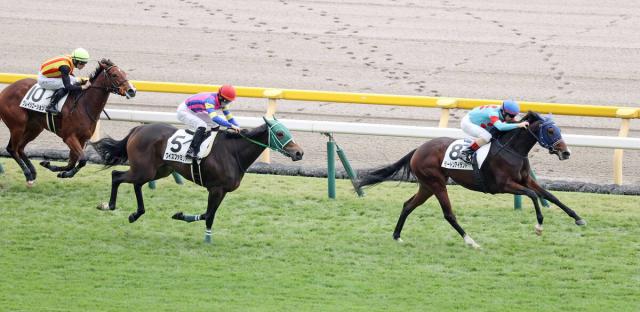 ŷľޡμǥ˥᡼뵳Ͼϥѡեȡ⡢ʤɹŸΥ