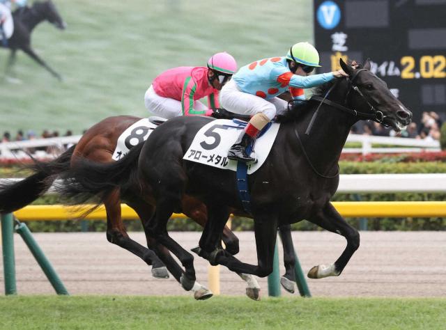 5R۰Ū1ֿ͵᥿뤬V᡼ֿӤפȺ˴