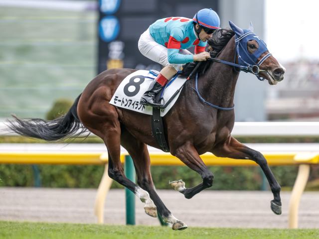 4R̡ۥ⡼ꥹ⡼ȥ󥢥ɤȴФ