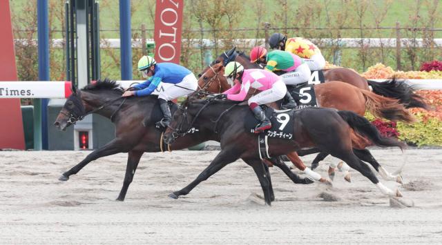 ڵ9Rھޡ115Ƭκѥޥ󥵡˾赳֤1ǥȻפޤ