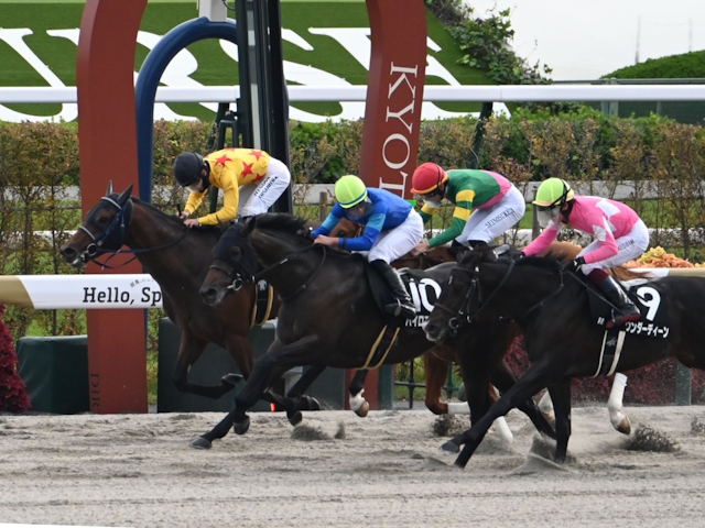 ڤھ޷̡ۥѥޥ󥵡͵˱ƥǥӥ塼2Ϣ 16Ƭ15Ƭ1ϤΥϥ٥ʰ