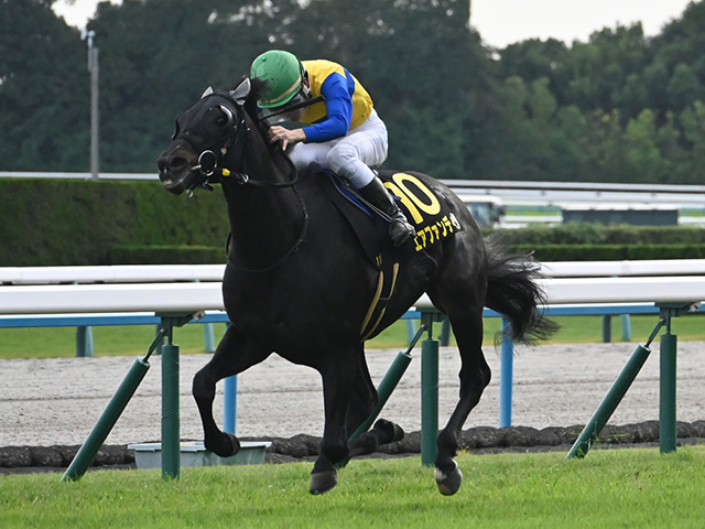 ڤޤۤS̡10ֿ͵եǥη