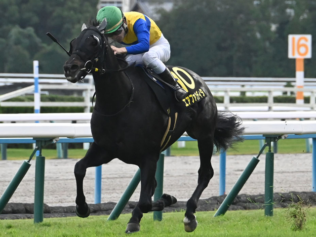 JRAWIN5WIN5Ū80ɼ7132610