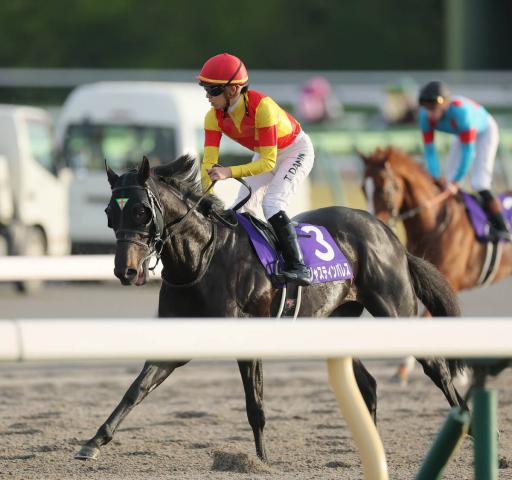 ŷľޡۥڡήƤСƬޤǤäץ㥹ƥѥ쥹3塡Ĵդɾ