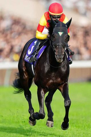 ŷľޡۥ㥹ƥѥ쥹3塡ŷľޤνսƤʤ餺ưȤưʤä