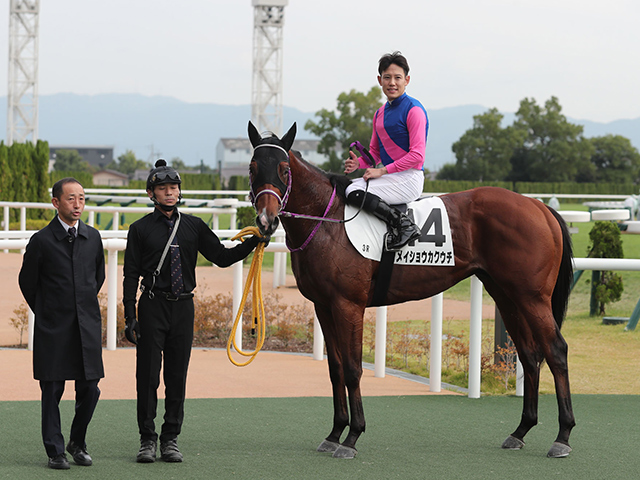 ڥᥤǥӥ塼3R졼女ȡۥᥤ祦ɩ͵󵳼