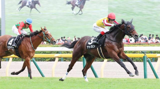 ɴ̡4ֿ͵å̯Ω2Ϣź쵳ָ򵤤ˤʤ񤷤Ÿˡġ