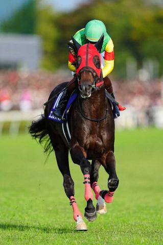 ŷľޡۥĤ11塡ڤ̣ˤʤäƤޤʬä