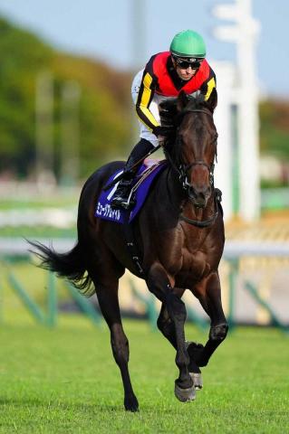 ŷľޡۻϥߥ塼ޥˤ2塡Cǥࡼ֤Ϥ򤷤Ƥ줿