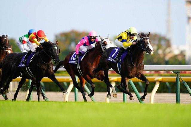 ŷľޡۥޥ졼ɥܡ뤬G1!3ϻ˾6Ƭܤβ󡡥᡼봿֤ä?!