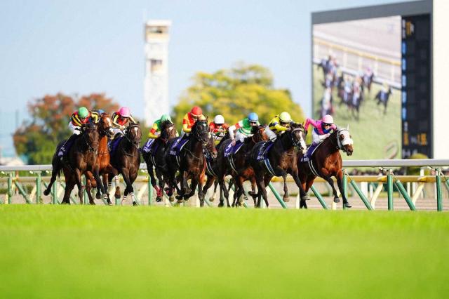 ŷľޡ2ֿ͵ƥ8˽롡졼֥٥ȤήǤϤʤä