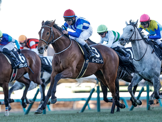 【AR共和国杯】ホーエリート、スティンガーグラスらが登録