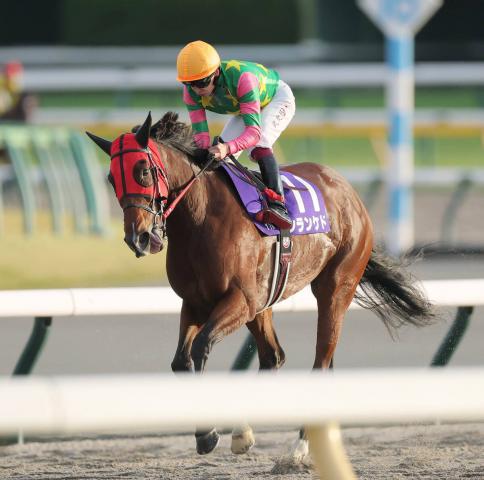 ŷľޡ۾夬®317ǥ󥱥4塡Ÿäޤ줺ⲣ˵G1Ǥ