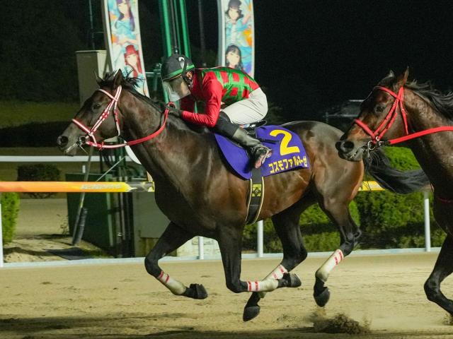 【佐賀・九州大賞典結果】コスモファルネーゼが激戦を制し重賞初制覇