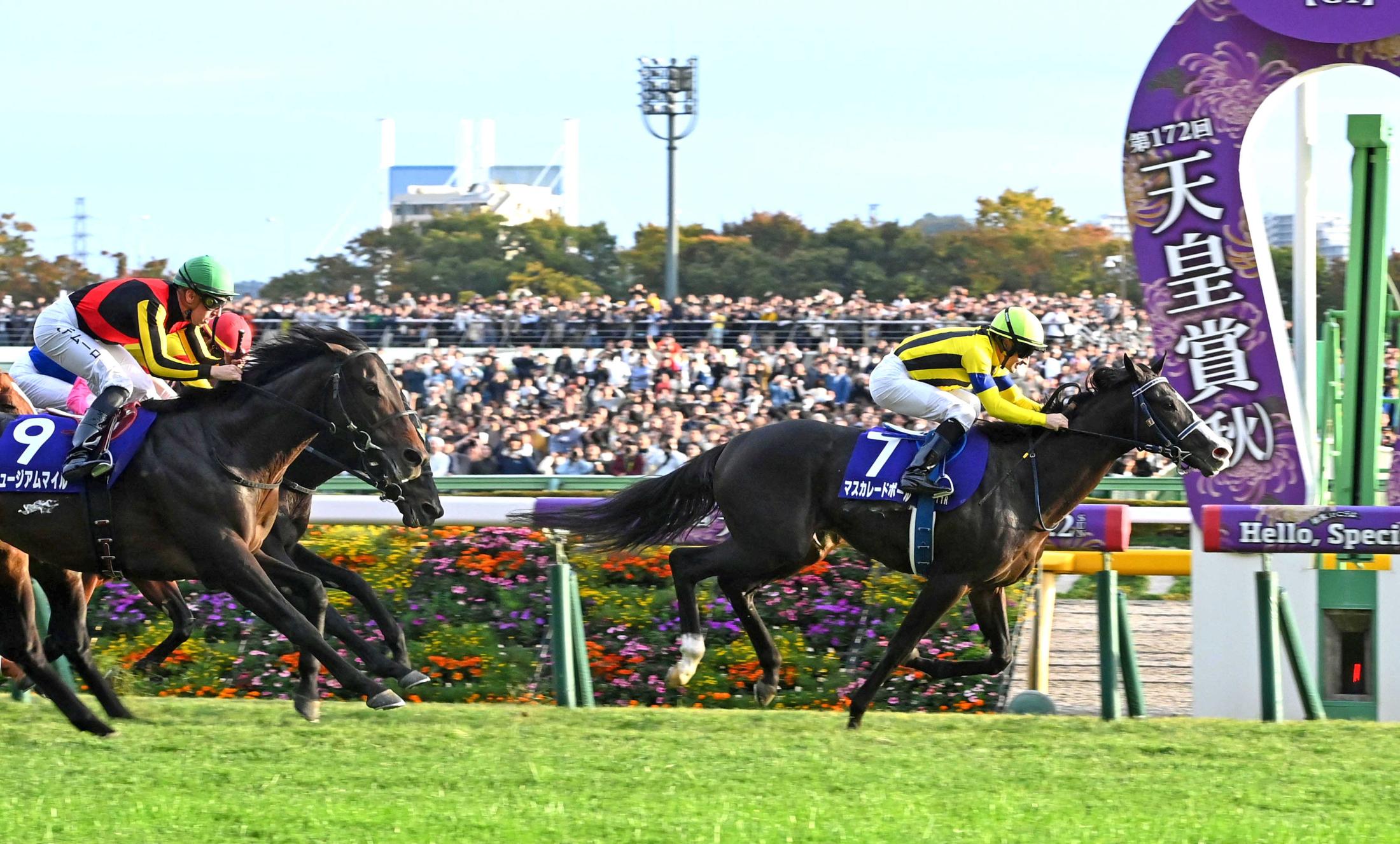 ̦ĴաӤλۺΥ᡼ˤϵդ館ʤŸڡɤΤƤ